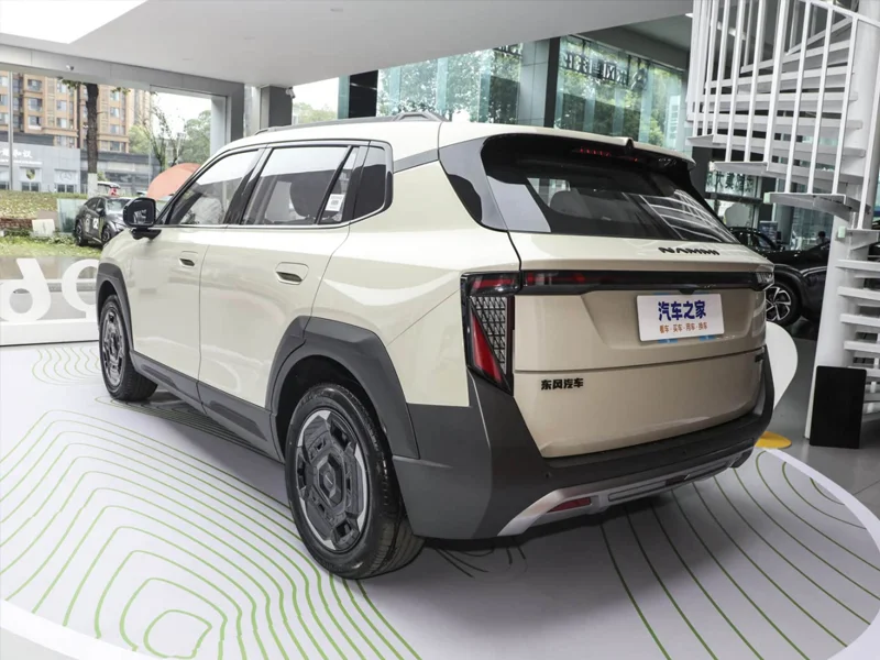 Dongfeng Nammi06