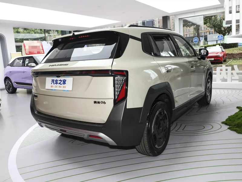 Dongfeng Nammi06
