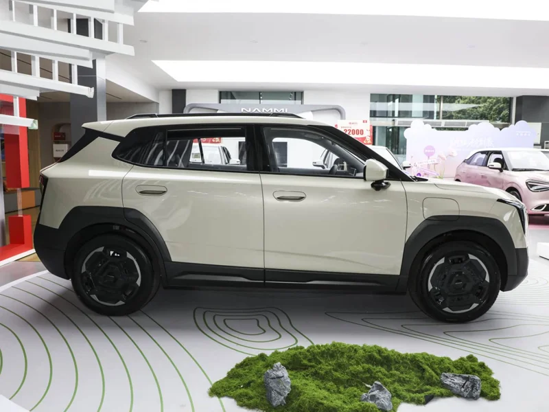 Dongfeng Nammi06